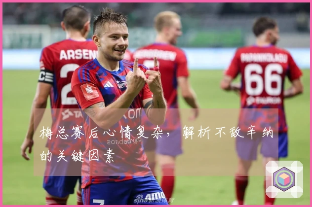 梅总赛后心情复杂，解析不敌辛纳的关键因素