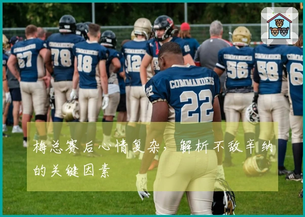 梅总赛后心情复杂，解析不敌辛纳的关键因素